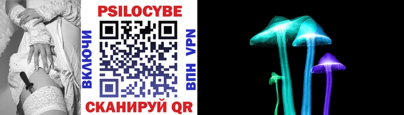 Купить  Тейково  Псилоцибиновые грибы мицелий 