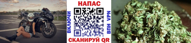 Купить  Тейково  Бошки Шишки сатива 